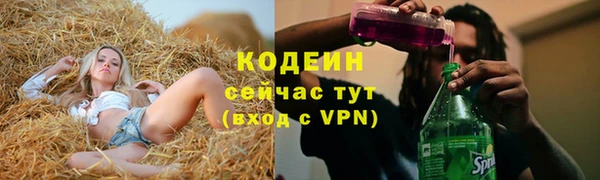гашик Белокуриха