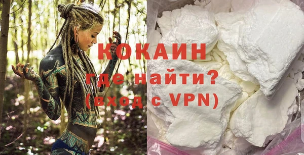 гашик Белокуриха