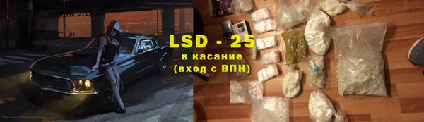 гашик Белокуриха
