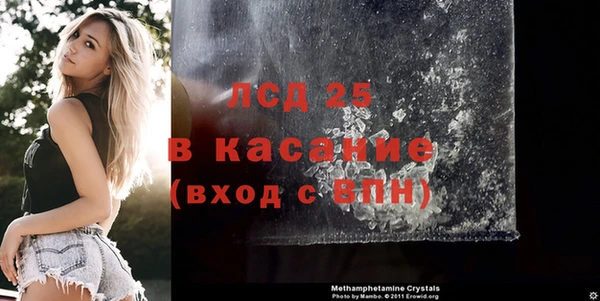 гашик Белокуриха
