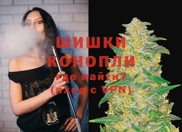 гашик Белокуриха
