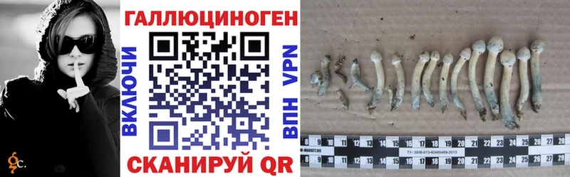 Галлюциногенные грибы Psilocybine cubensis  MEGA tor  Очёр  наркотики 