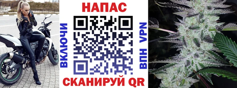 KRAKEN ONION  где купить наркотик  Очёр  Бошки марихуана тримм 